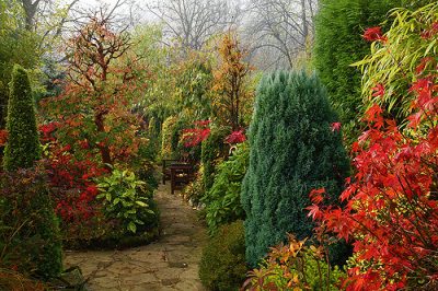 Best Plants to Grow in Autumn: A Guide to Seasonal Gardening - Jim's Mowing