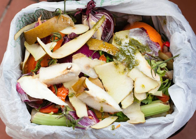 Fruit and Vegetable scraps ready to add to the compost bins