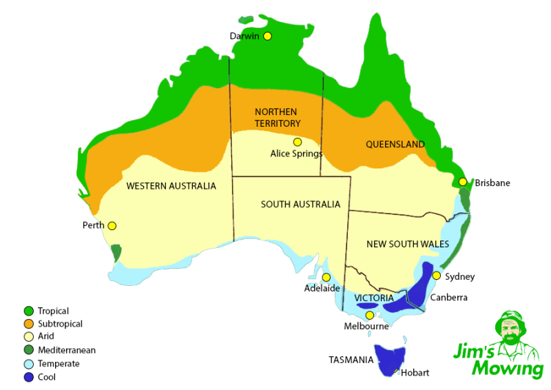 Winter Vegetables to Grow in Australia - JimsMowing.com.au