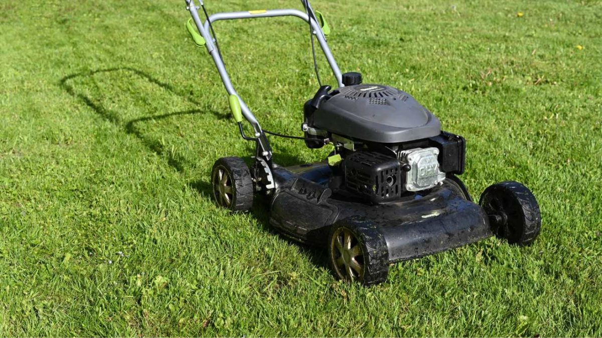 What Time Can You Mow Your Lawn in Australia State Territory