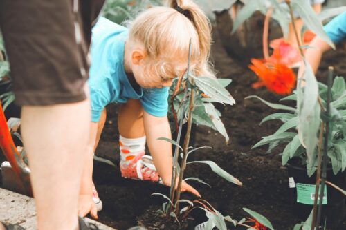 Making a garden that is safe and fun for children with disability