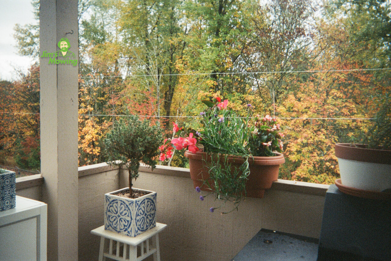 balcony garden