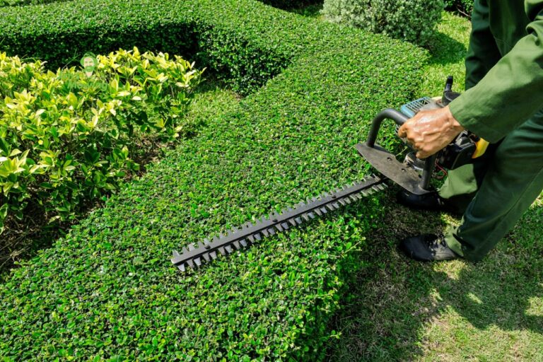 How to Choose the Best Hedge Trimmer - Jim's Mowing