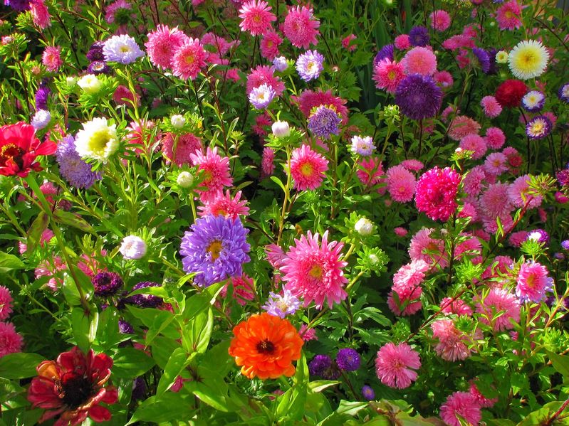 Preparing Your Spring Garden Bed for Planting - Jim's Mowing