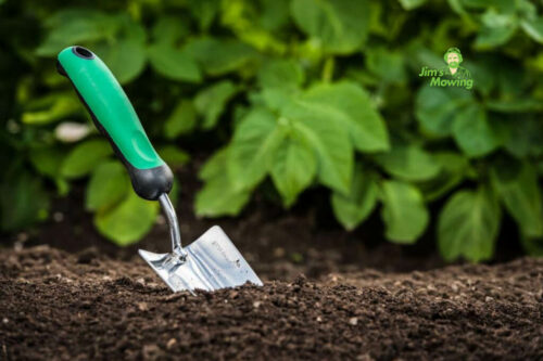 Tips Every Gardener Needs to Know