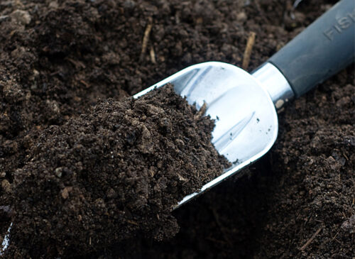 Lawn Soil pH: Do You Need Lime, Gypsum, or Neither?