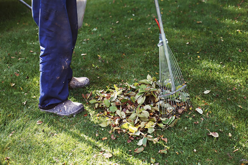 Odd Jobs Around the Home