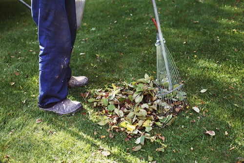 Odd Jobs Around the Home